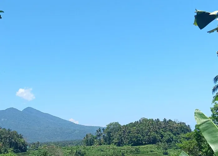 Alamku *